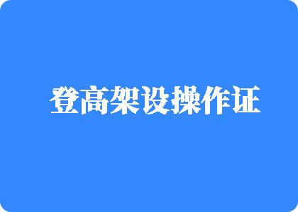 操鸡巴破处视频影院免费观看登高架设操作证